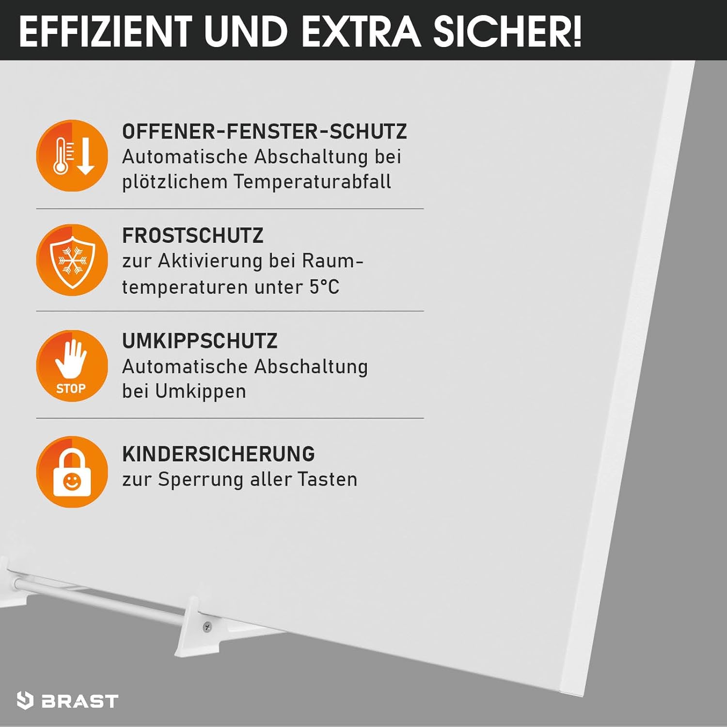 BRAST® Infrarotheizung mit Thermostat | 300-1100 Watt | Made in Europe | Inkl. Wandhalterung Standsystem + Griff | hoher Wirkungsgrad | Flexibler Einsatz | Ultraflache Bauweise | IP-TH 300
