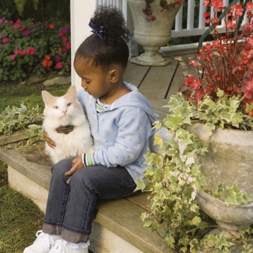 Coleira de contenção para gatos pretos