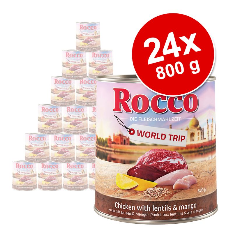 Rocco Tour du monde Inde pour chien