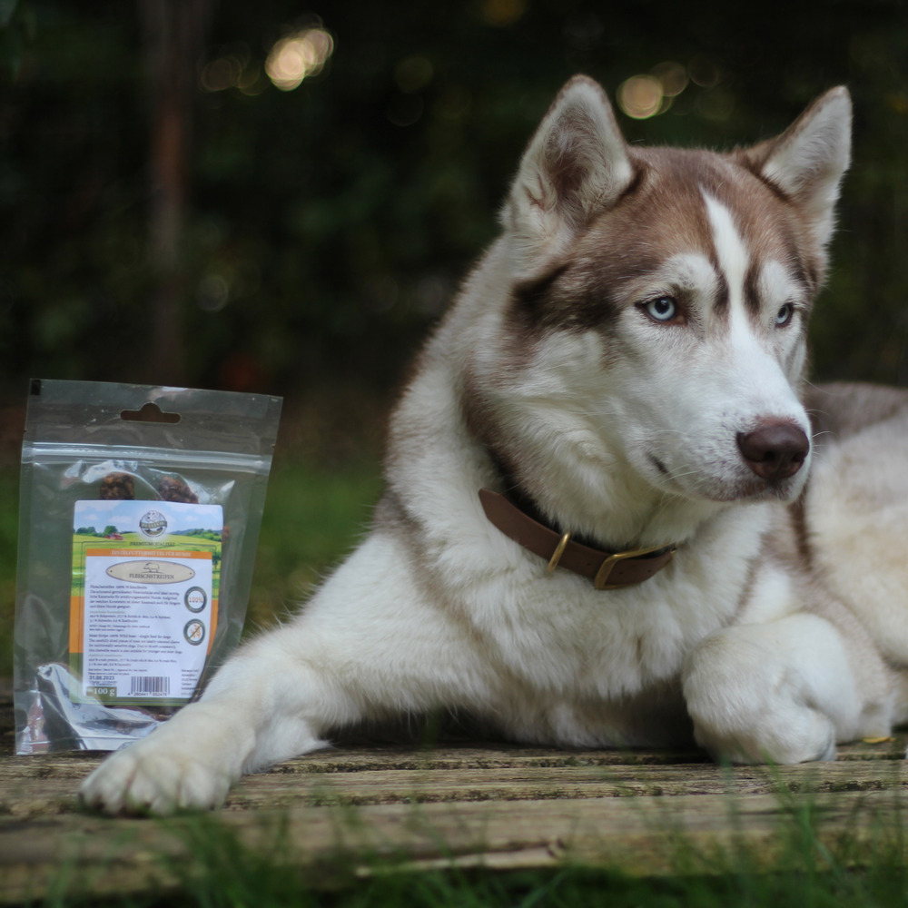 Snack pour chien - lanières de viande sanglier - fleischstreifen wildschwein - 100g
