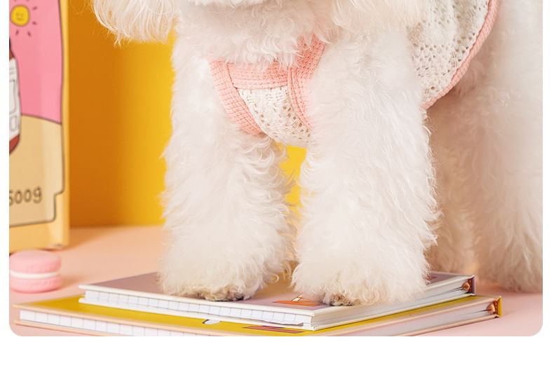 Cissilli - Pet Top met linthart