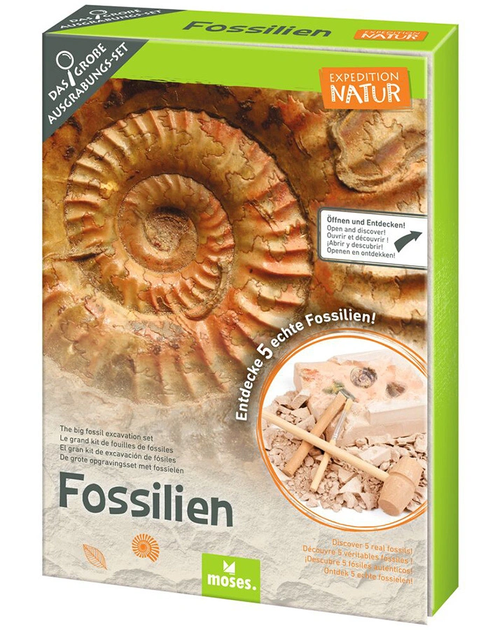 Ausgrabungsset EXPEDITION NATUR - FOSSILIEN