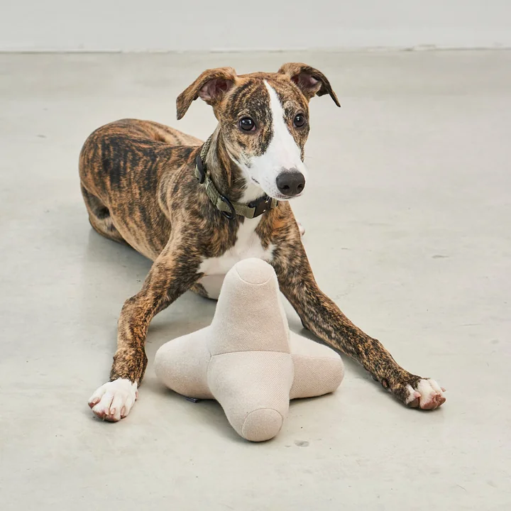 MiaCara - Quattro Hundespielzeug S, greige
