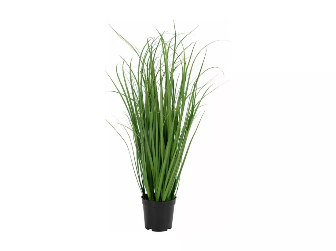 POANA - Pâturin Décoratif Artificiel Hauteur 68cm