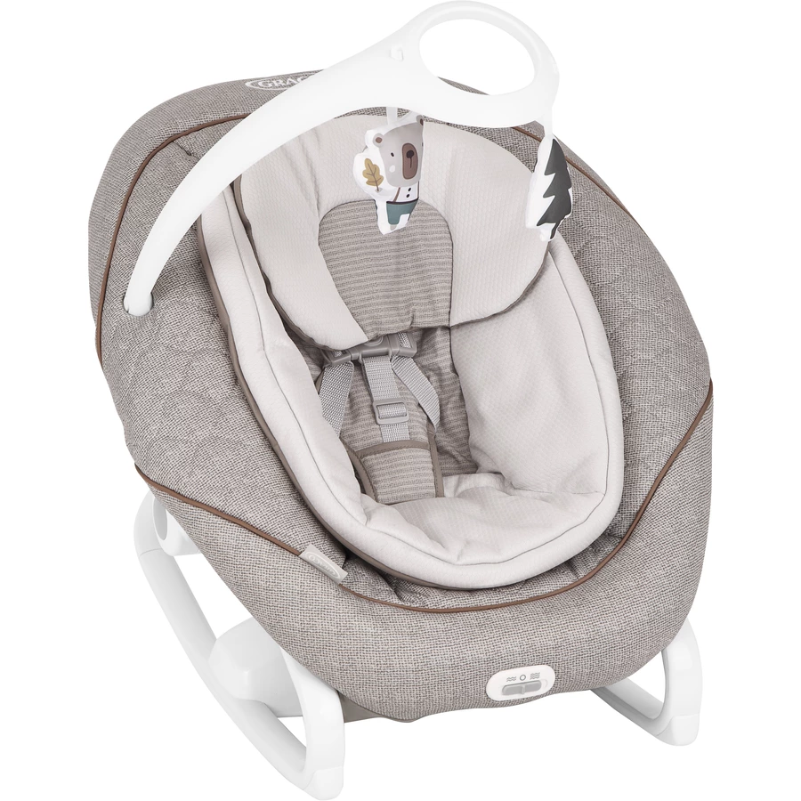 Graco Schaukel Little Adventures All Ways Soother