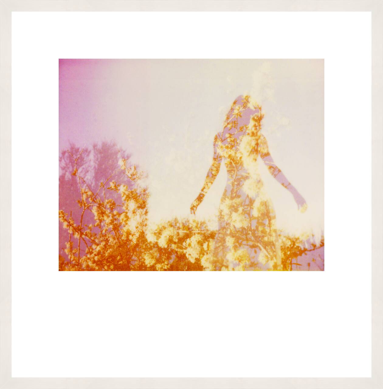 Illuminated IV by Clay Lipsky - Limited Edition. Edition of: 100. Signed.
