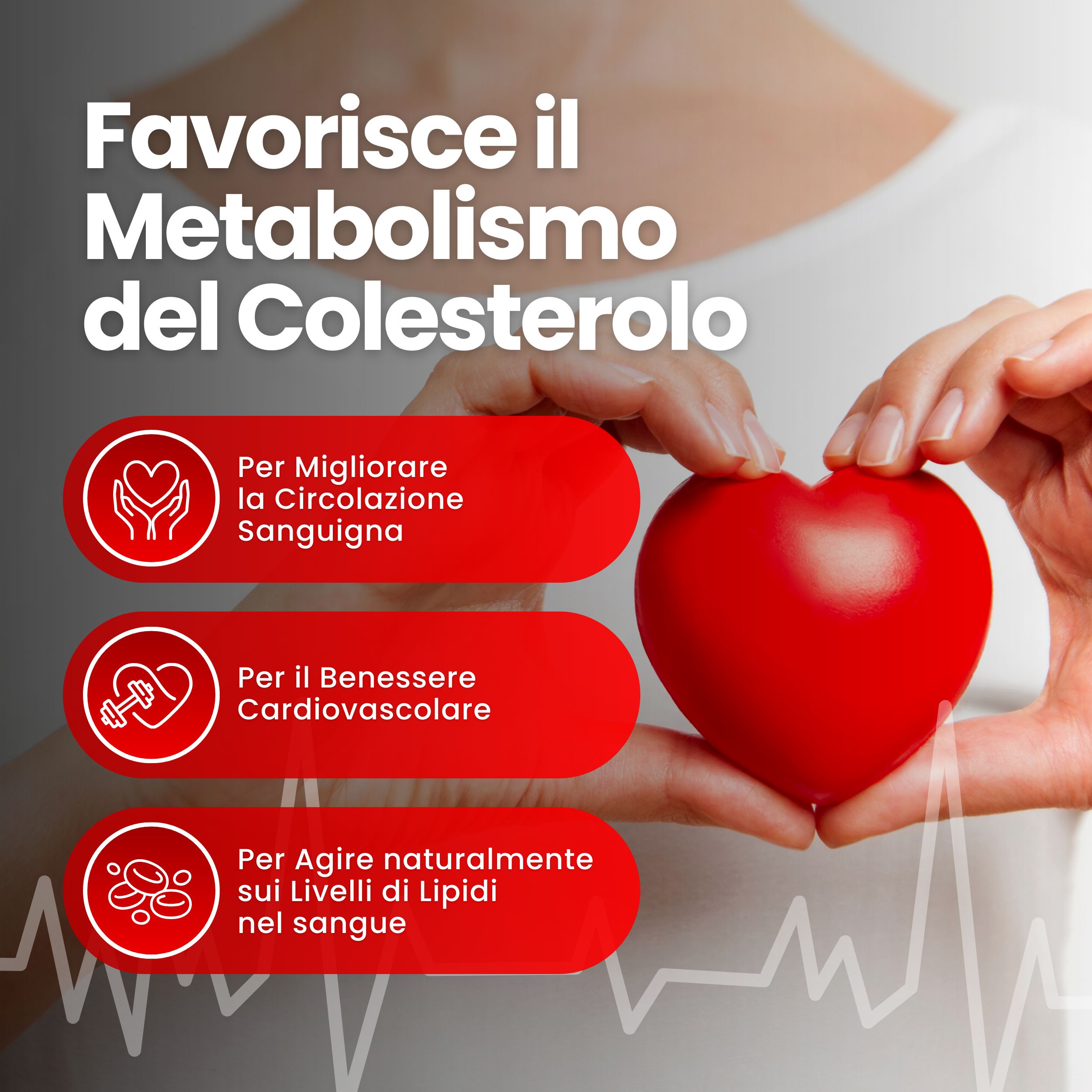 Vitastrong Cholesterin