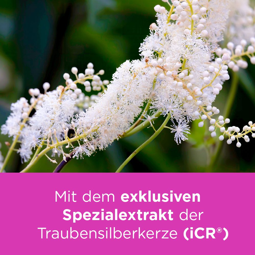 Remifemin bei Wechseljahresbeschwerden