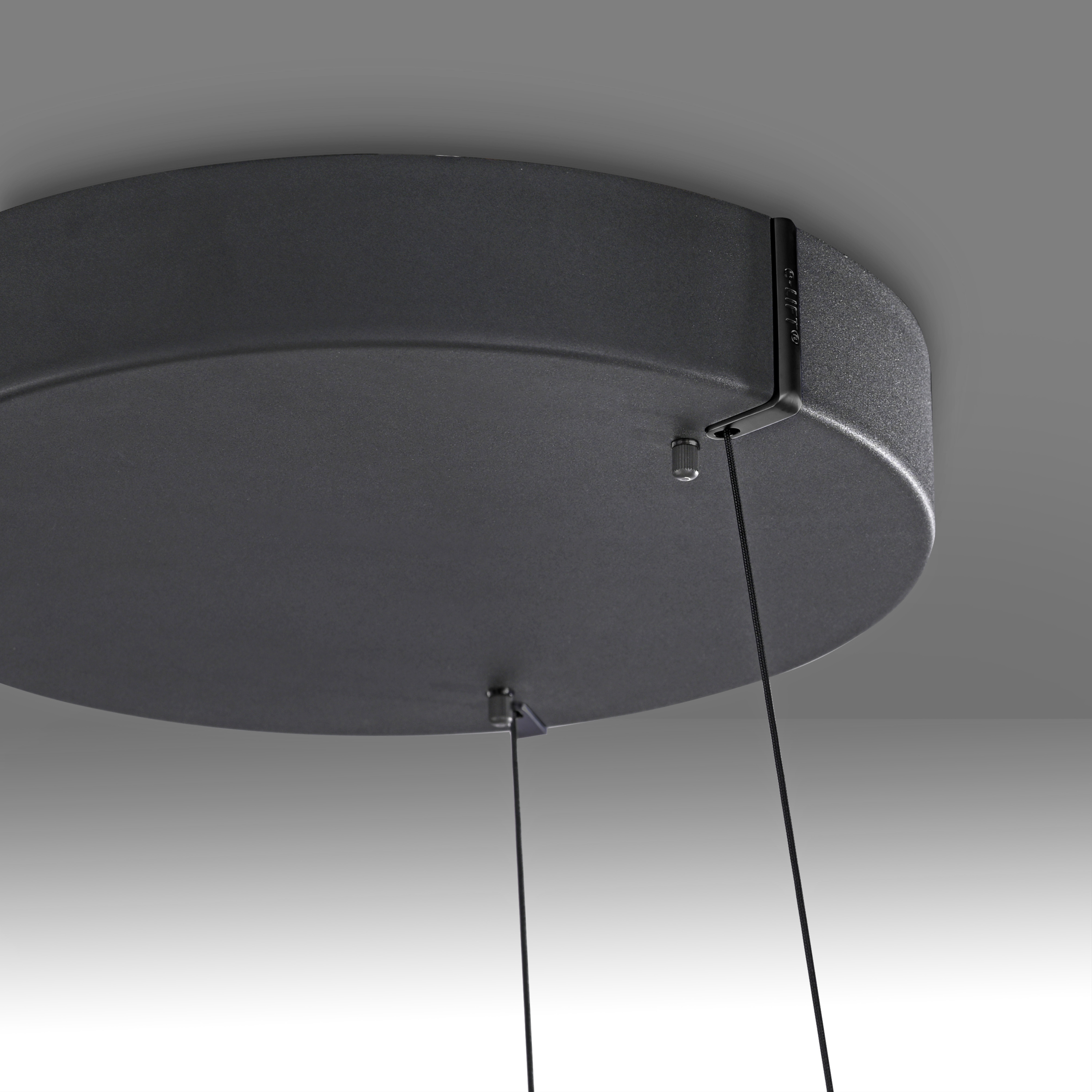 Pendelleuchte PURE E-LOOP