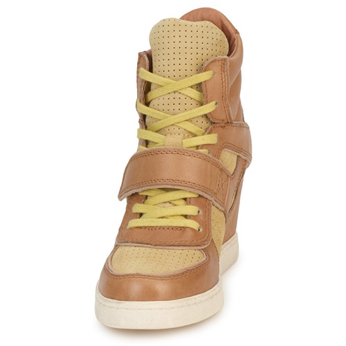 Ash - COCA - Marron / Jaune
