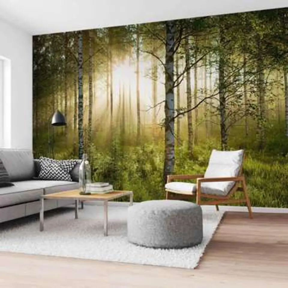 Fotobehang Zonnestralen in berkenbos - 260x384cm - Groen