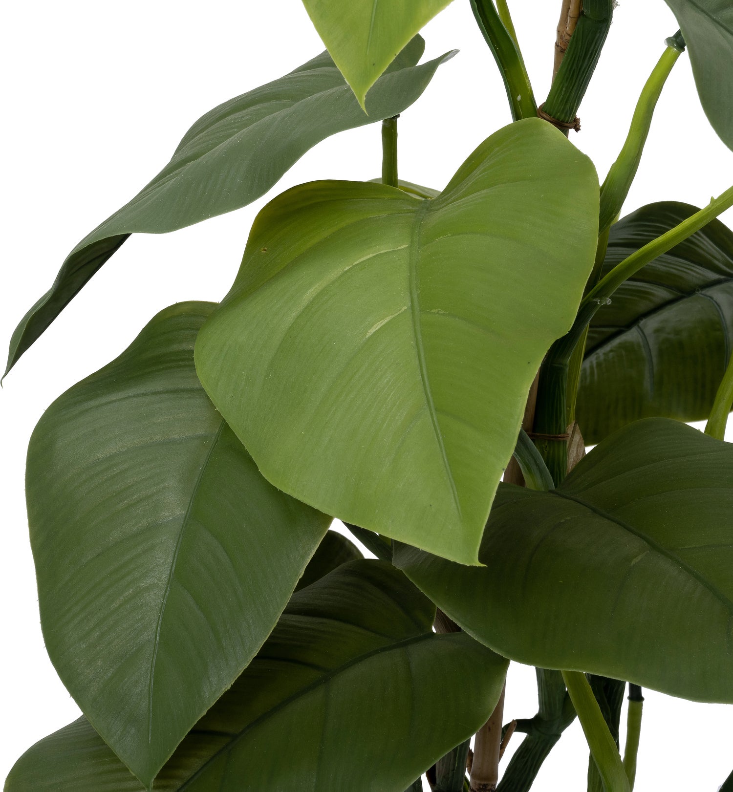 Intratuin kunstplant Philodendron 71 x 40 x 40 cm