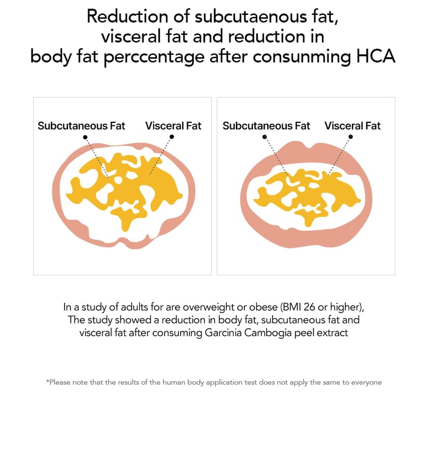 FOODOLOGY - Manology Cut Pro
