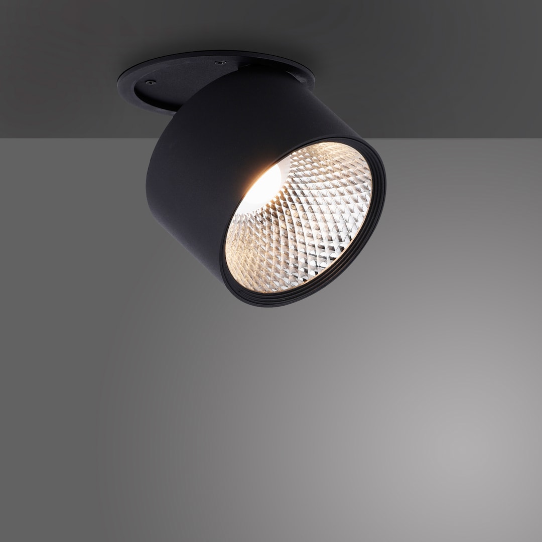 Paul Neuhaus LED Deckenlampe mit 1 Spots PURE-NOLA 15 cm schwarz