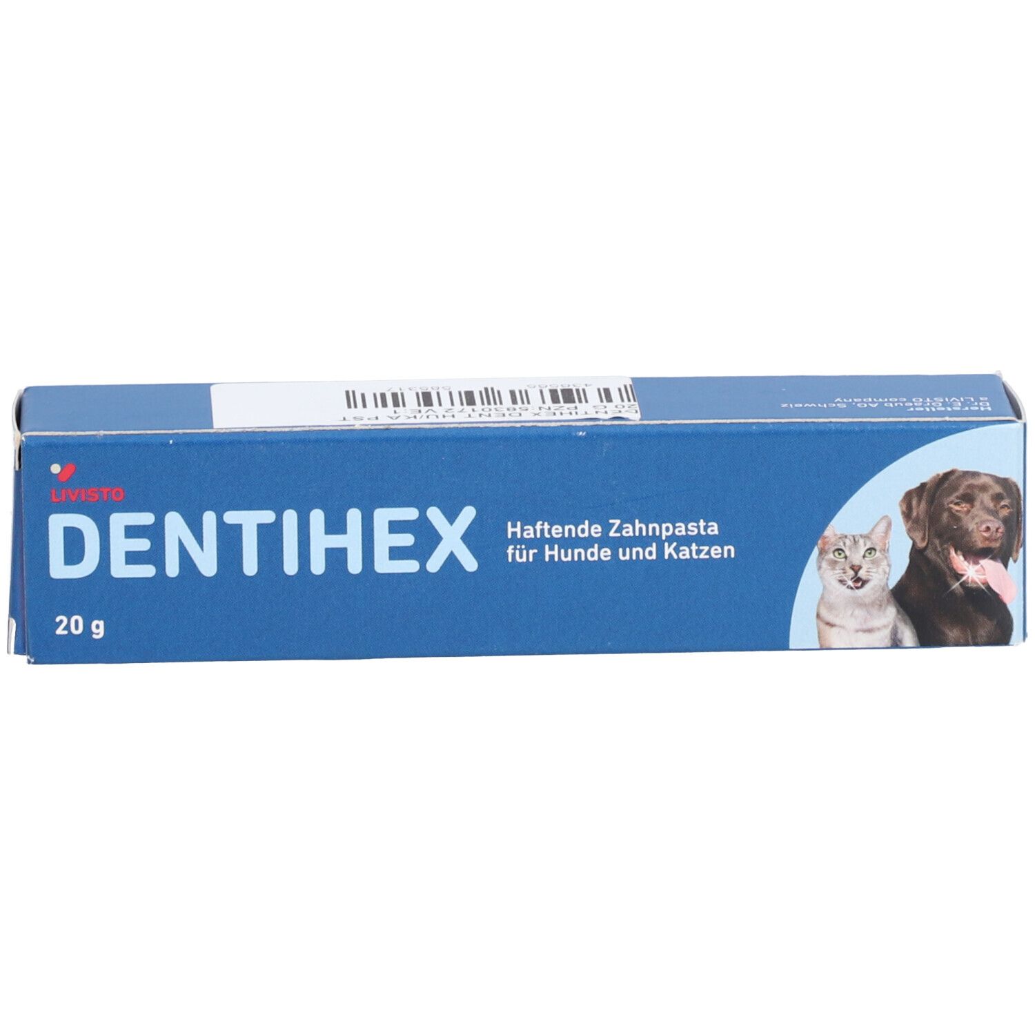 LIVISTO DENTIHEX