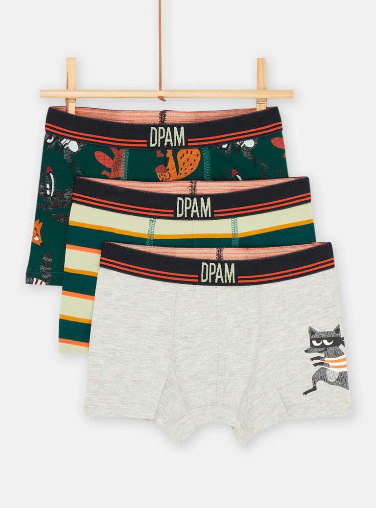 Boxer Kaki