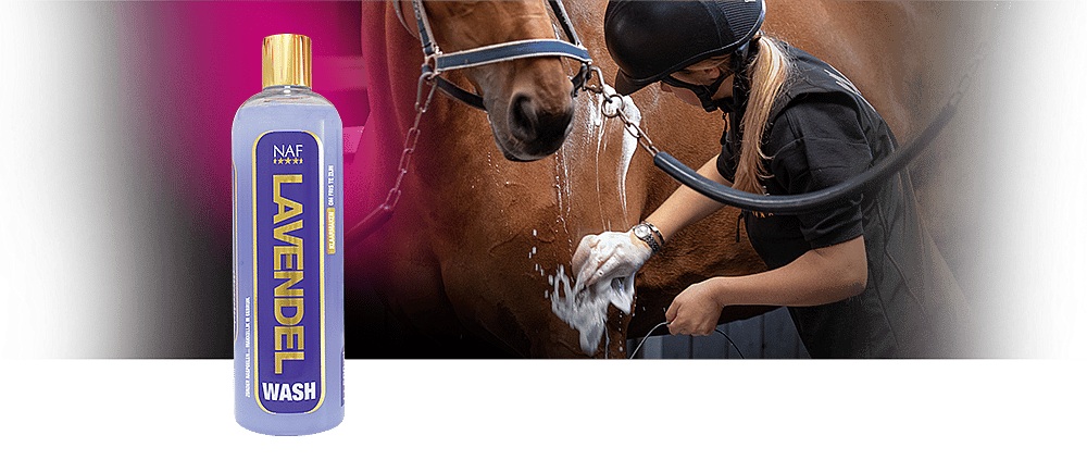 NAF Lavender Wash – Verkoelende no-rinse bodywash met lavendel voor paarden