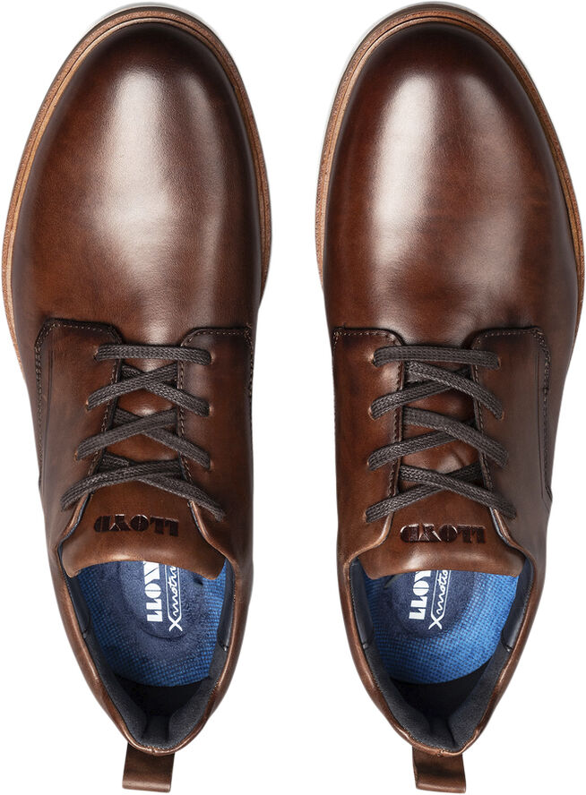 Lloyd MONZA Brown