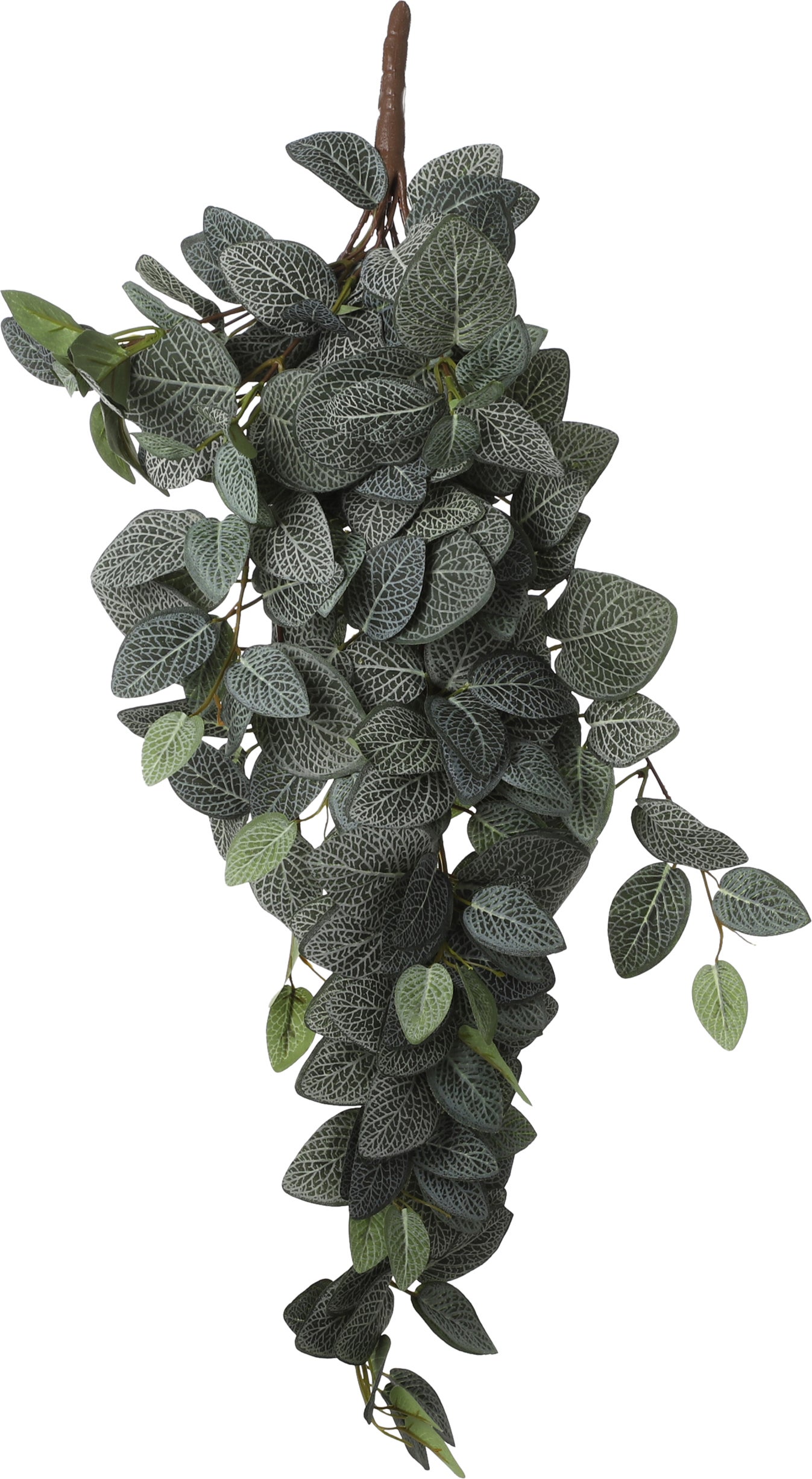 Mica Decorations kunsthangplant Fittonia 15 x 20 x 54 cm