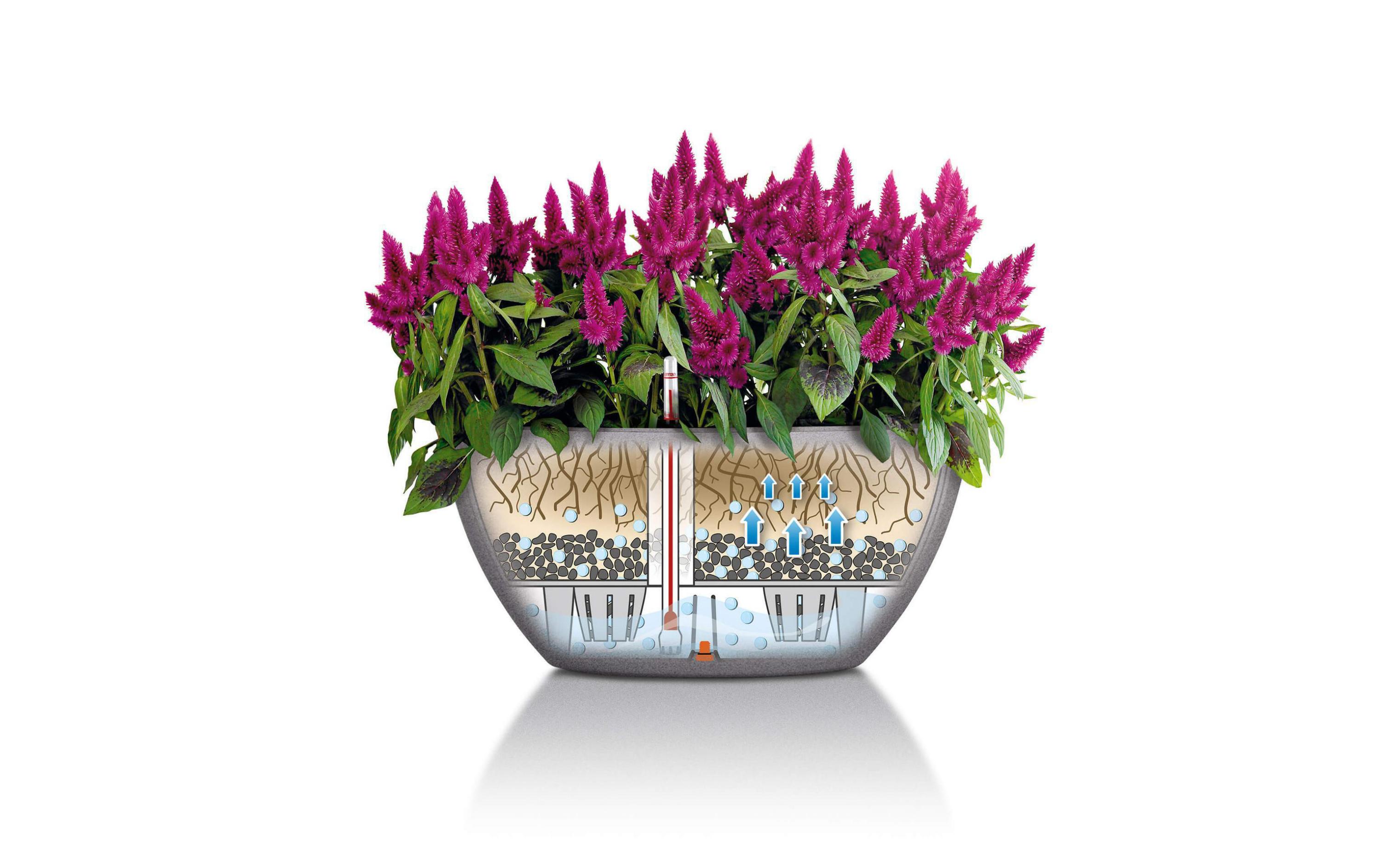 Blumentopf Cubeto Color 30 BeigePflanzengefäss, steingrau
