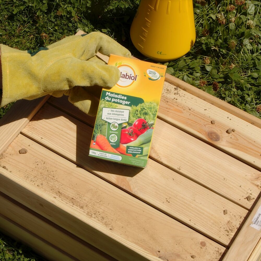 Somap100 | maladie du potager | 100g | lutte contre mildou, bactériose