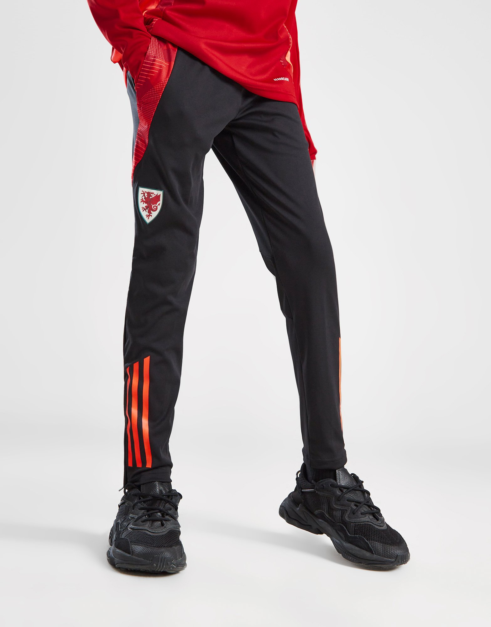 adidas Pantalon de jogging Pays de Galles Tiro 24 Junior