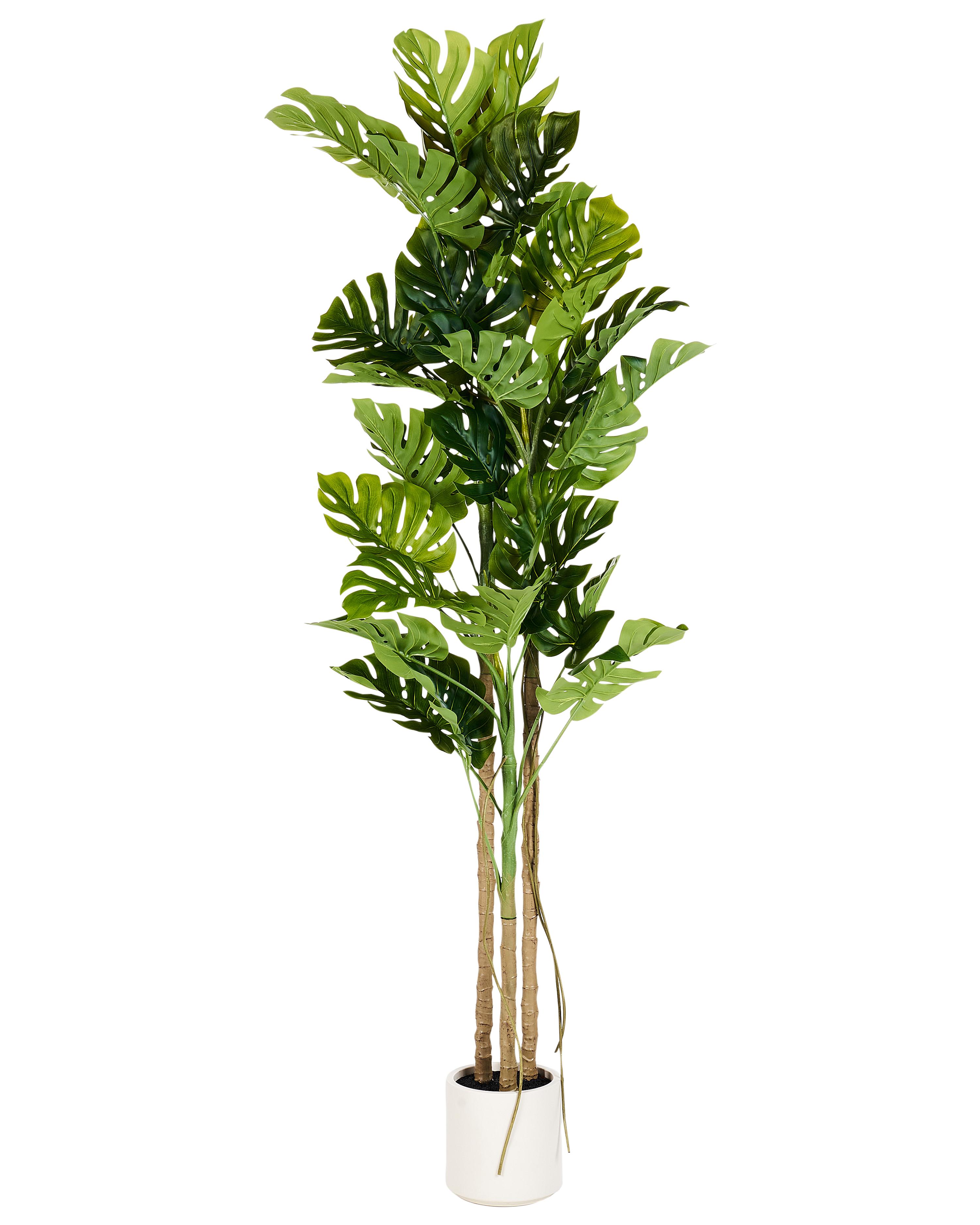 Kunstplant MONSTERA PLANT 221 cm Groen
