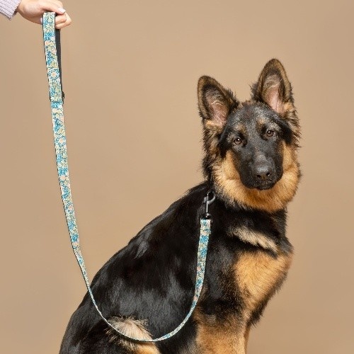 Guia para cães Baona Kamilo em nylon reciclado multicolorido