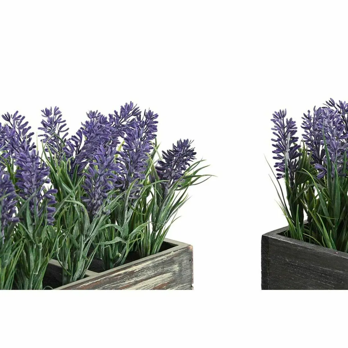 DKD Home Decor DKD Home Plante décorative deux unités