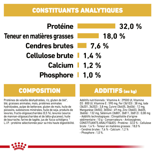 Croquettes Royal Canin Jack Russel Junior