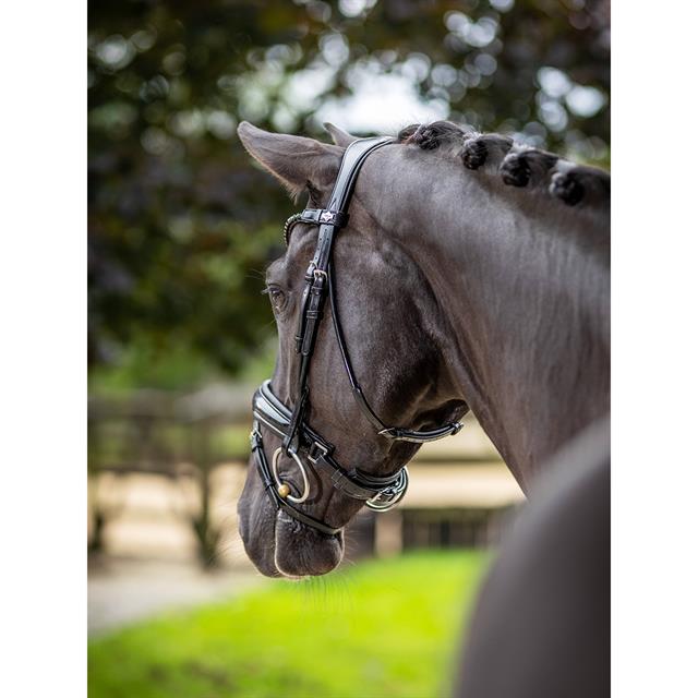 Hoofdstel LeMieux Kudos Dressage Lak Zwart-zwart