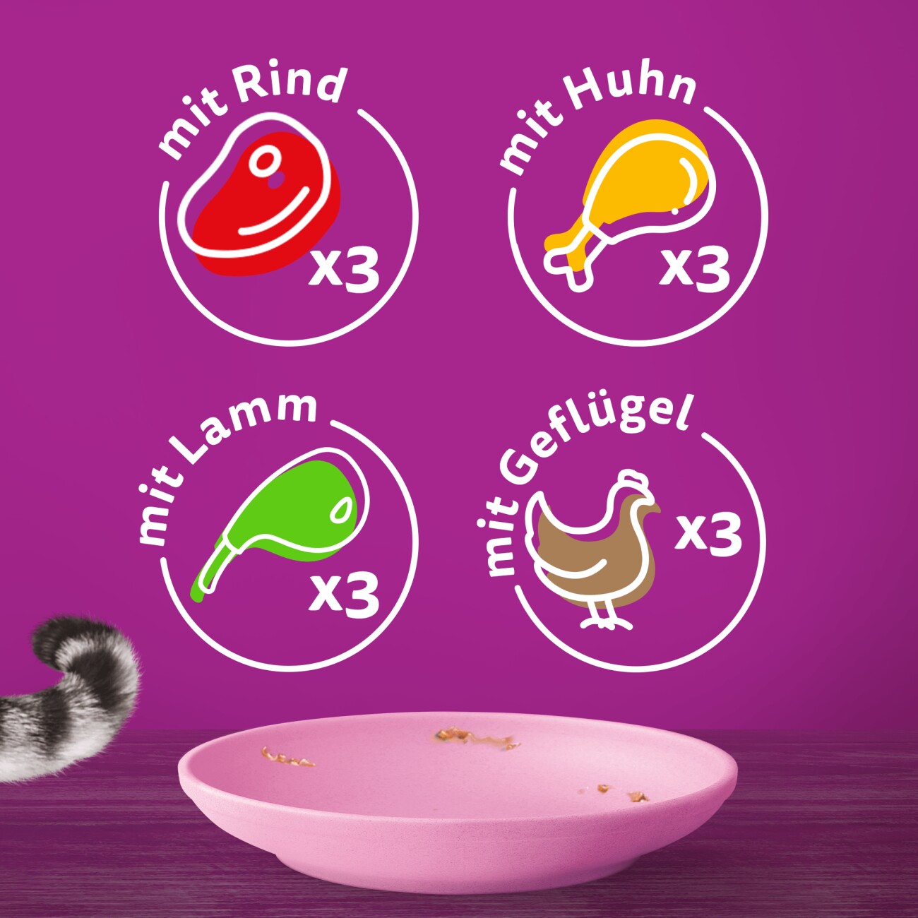 Whiskas Multipack Junior Klassische Auswahl in Sauce 12 x 85g
