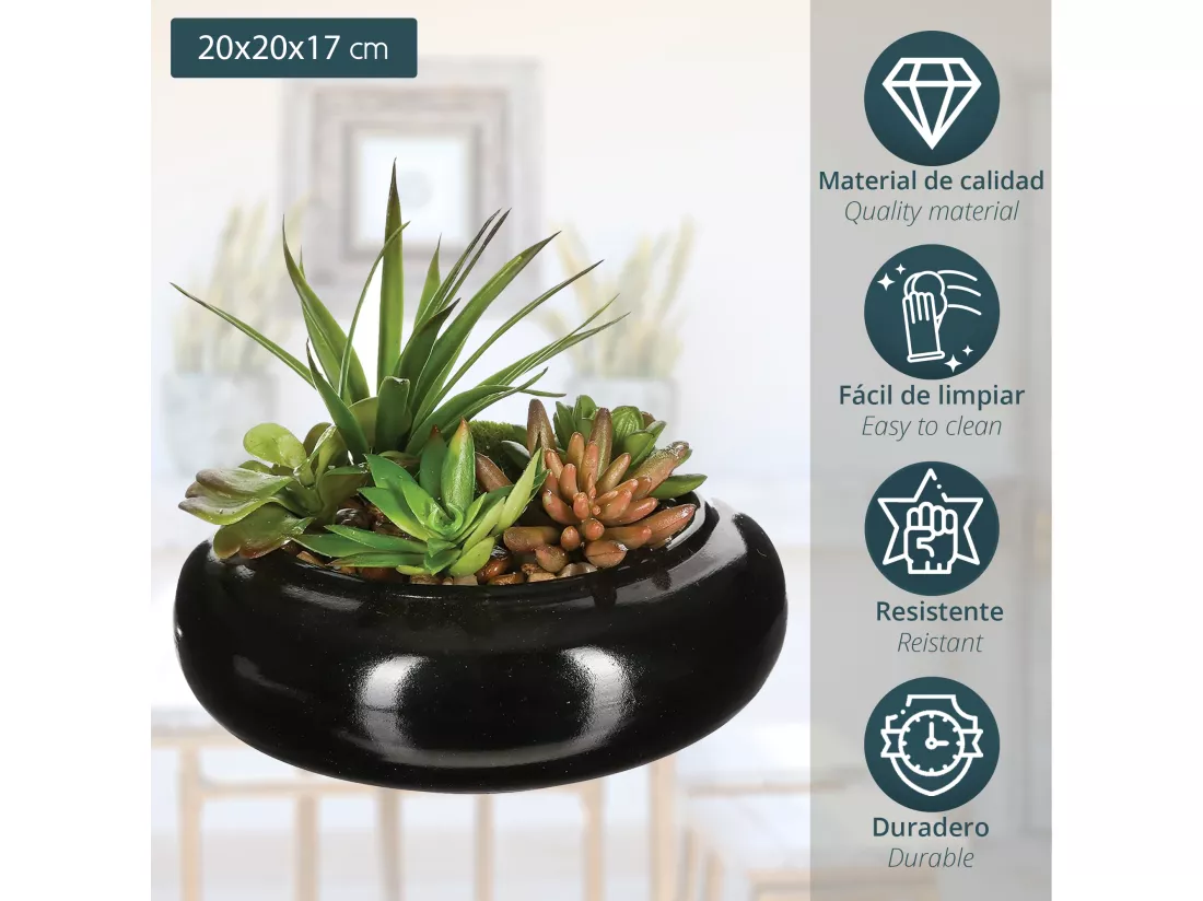 Assortiment de plantes avec vase en céramique l.20 x p.20 x h 6