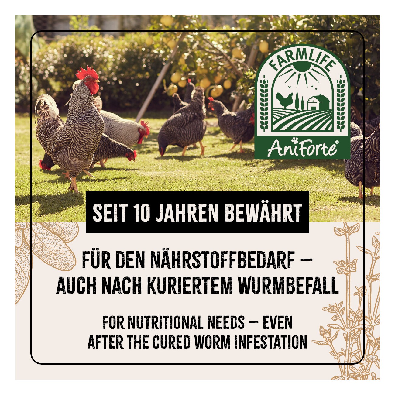 AniForte Wermix für Hühner & Co 50g