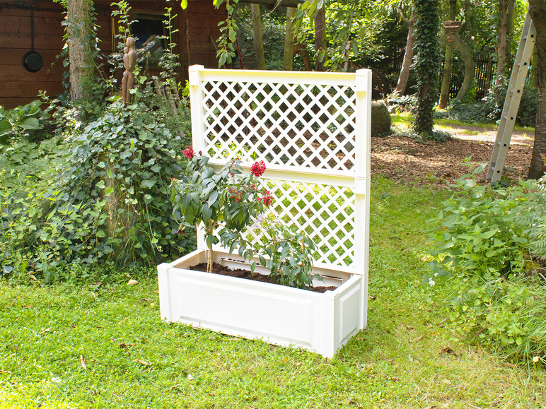 Plantenbak met klimrek