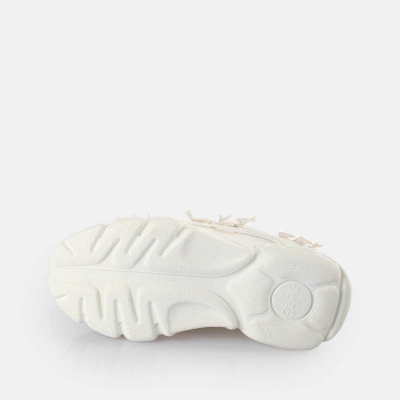 CLD Corin Dove Baskets basses véganes, blanc