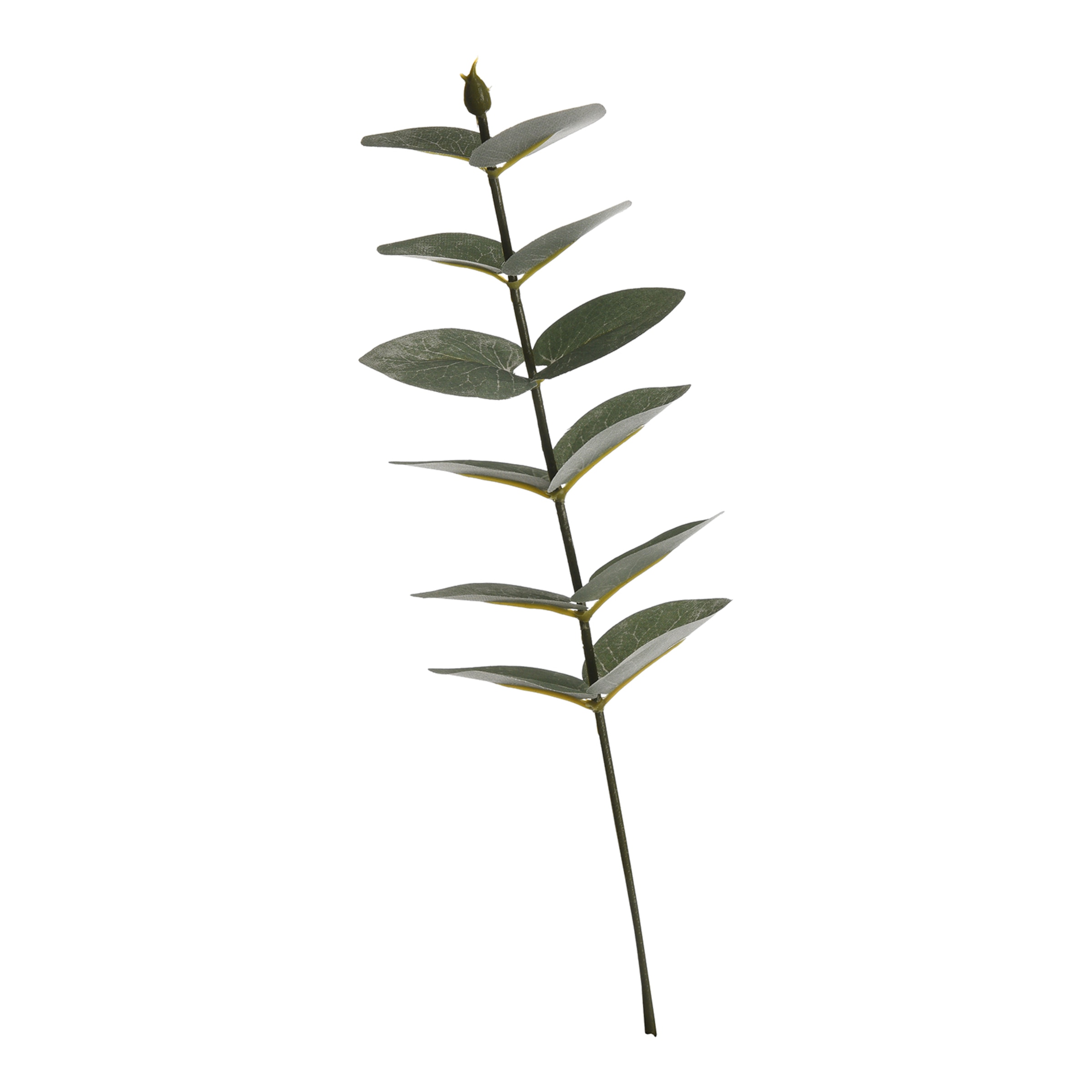 grün, L 27 cm