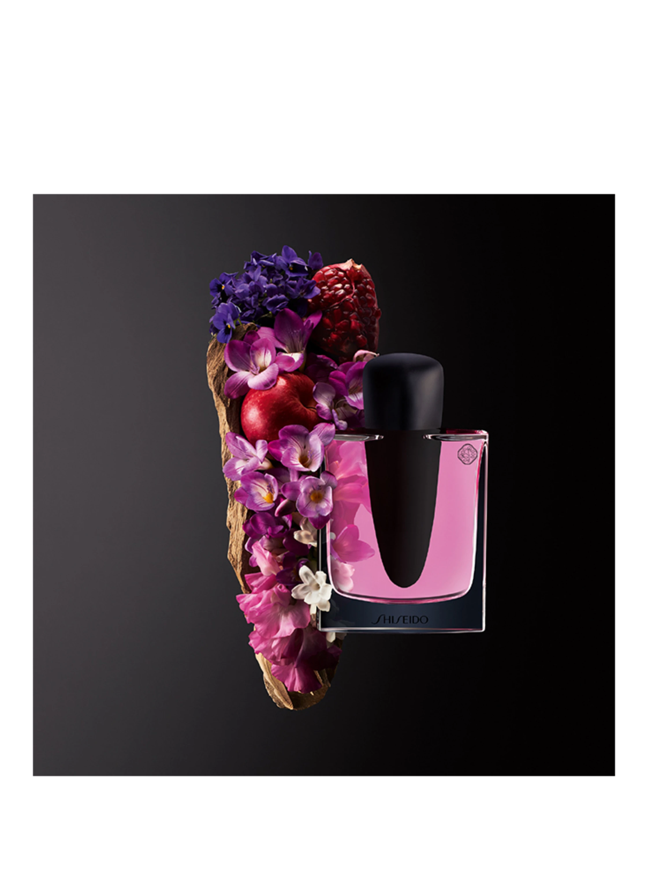 SHISEIDO GINZA
