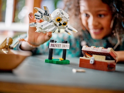 LEGO Hedwig™ bij Ligusterlaan 4 (76425)