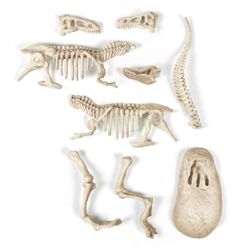 Clementoni Archeospel T-rex fluoriserend