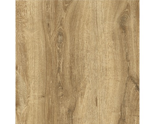 Porseleinen terrastegel Limewood Roble gerectificeerde rand 60 x 60 x 2 cm