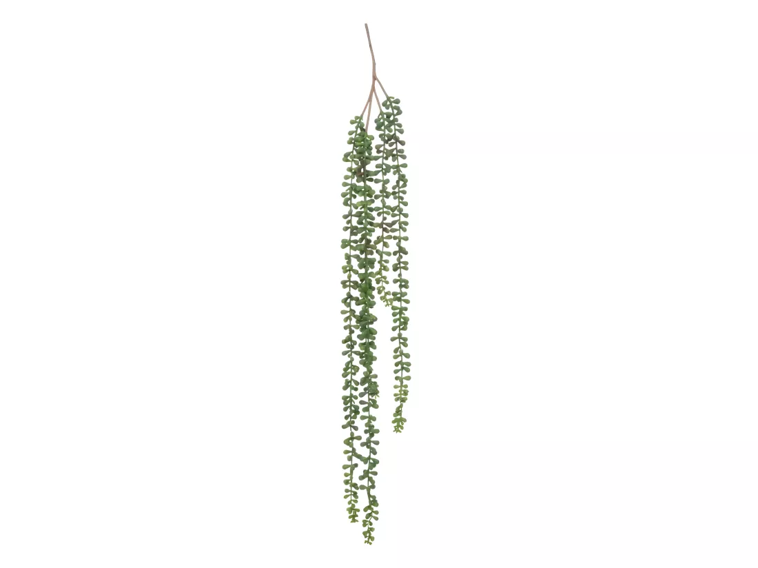 Plante Tombante Déco 