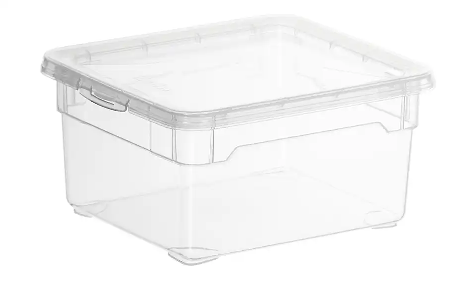 Rotho Aufbewahrungsbox mit Deckel 19 cm