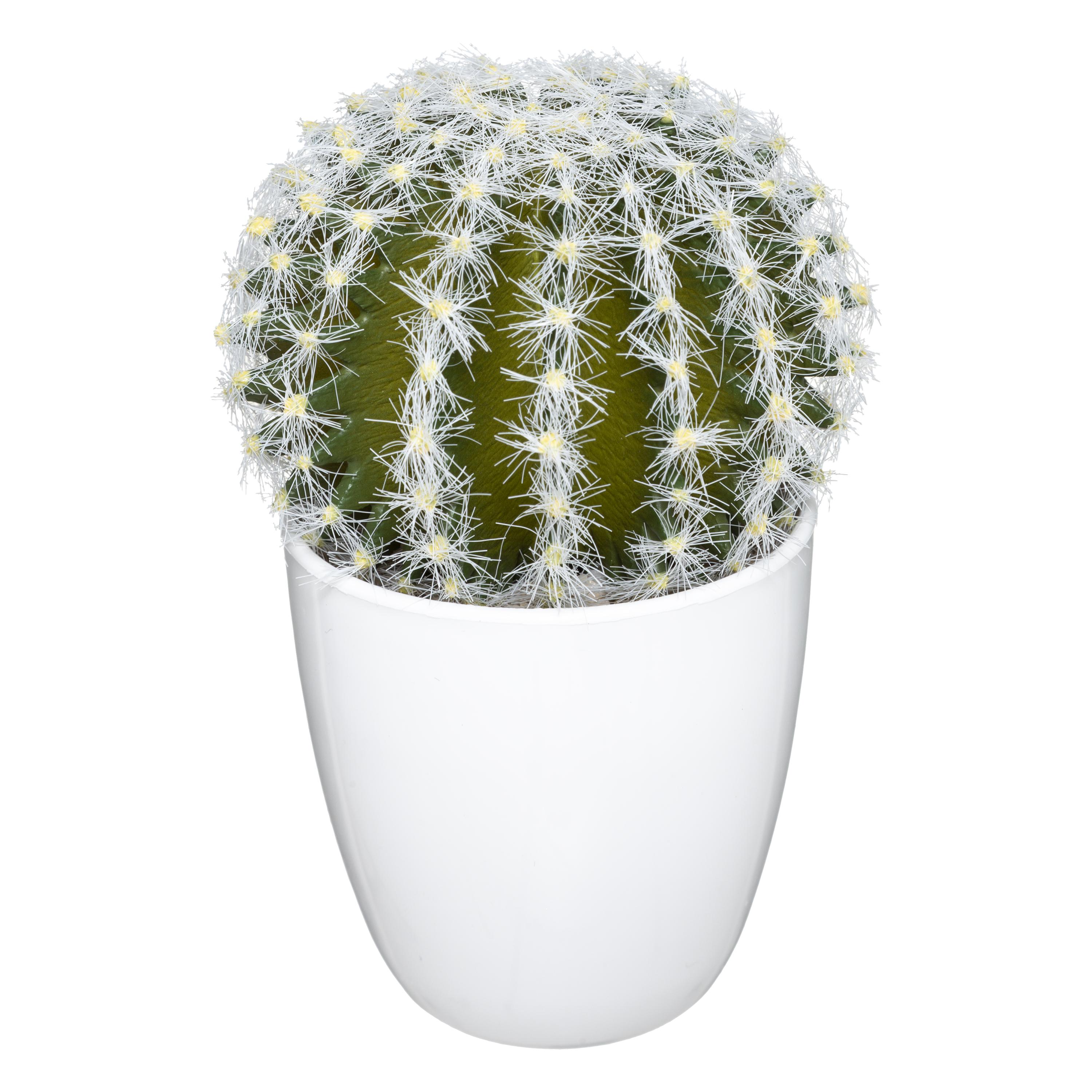 SUCCULENTE CACTUS H.18CM
