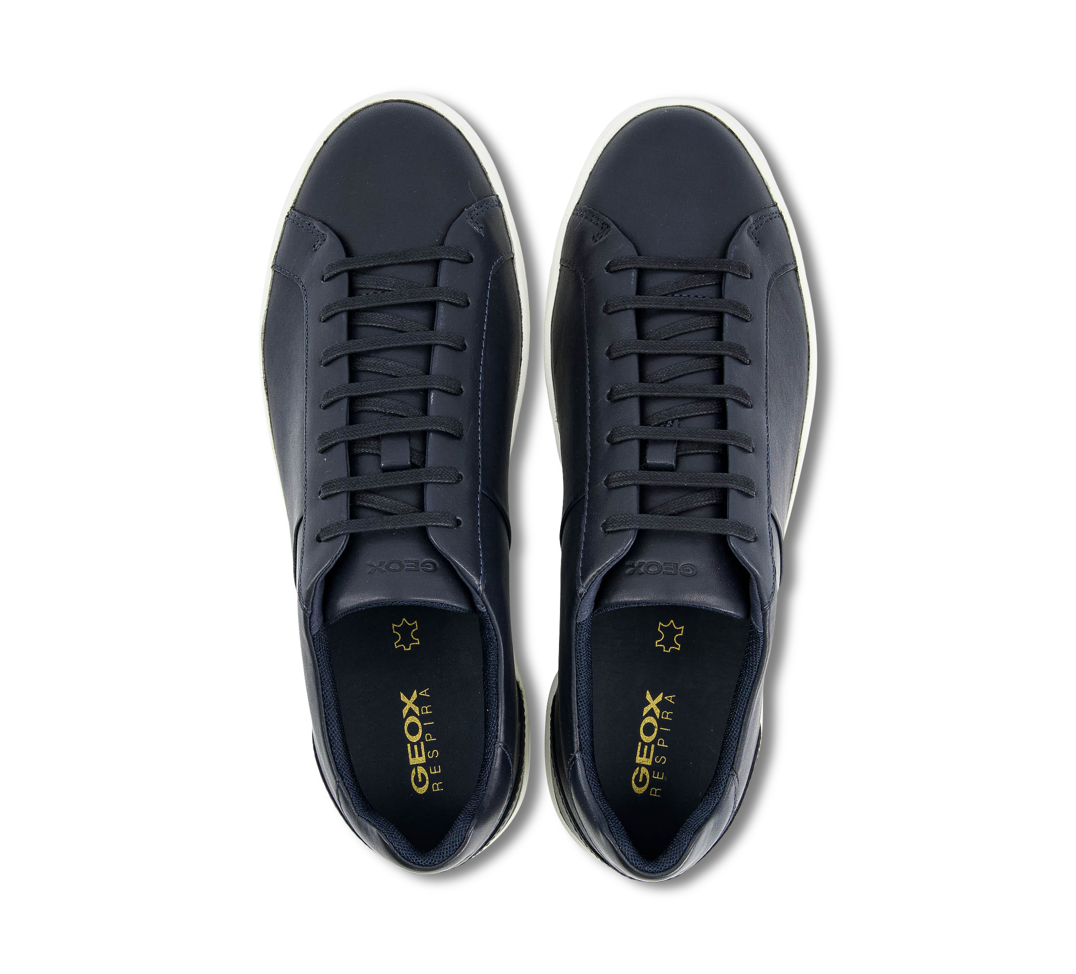 Geox Regio blau