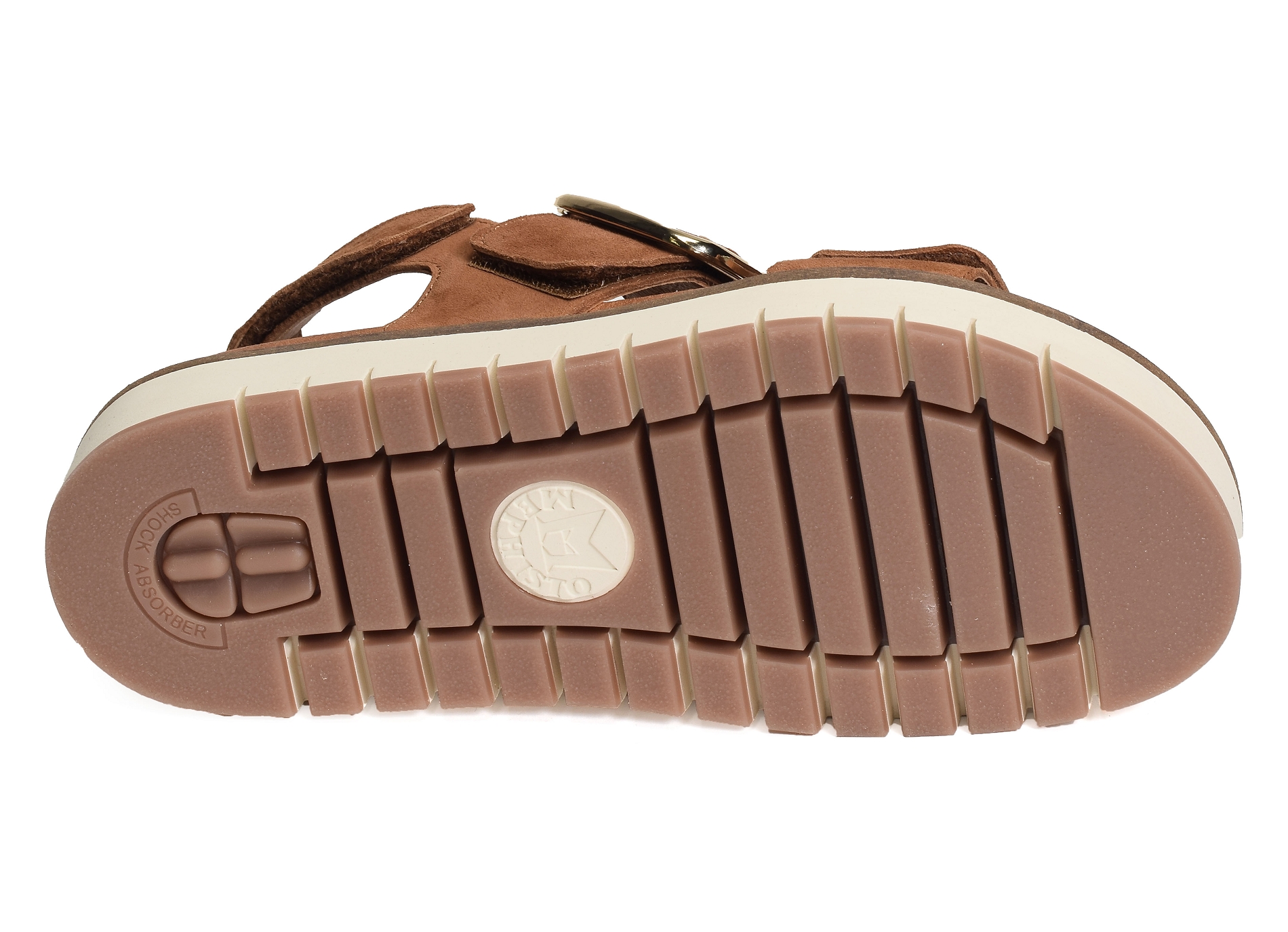 Belona camel