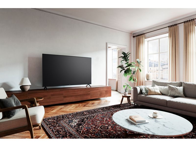 Panasonic TV TV-65W90AEG 65