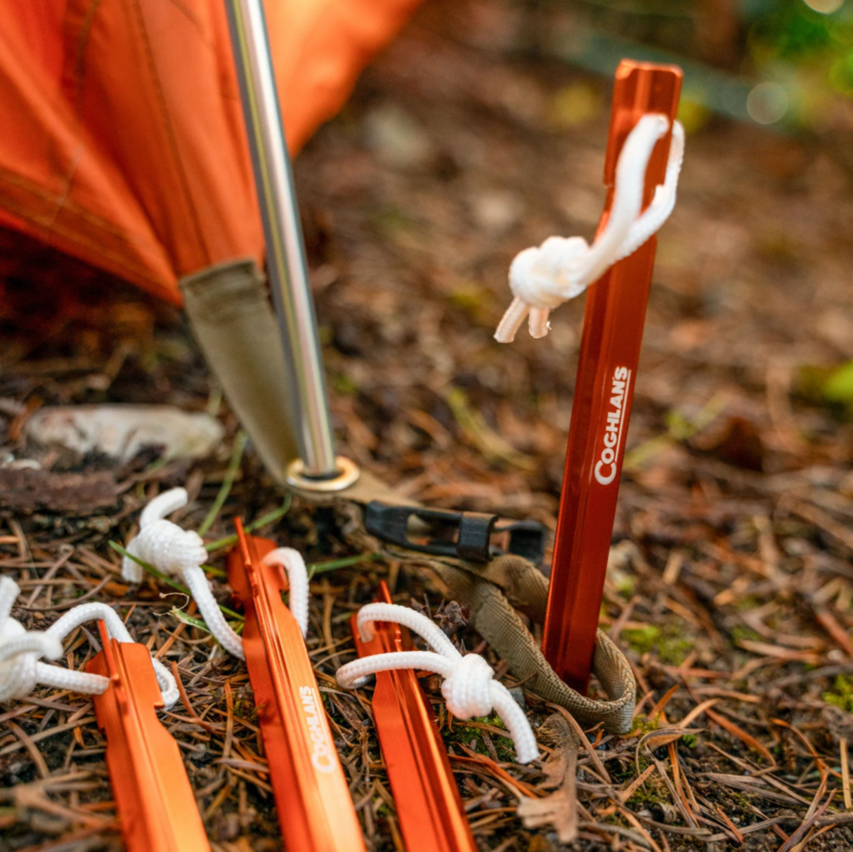 Coghlan's<br>Ultralight Tent Stakes