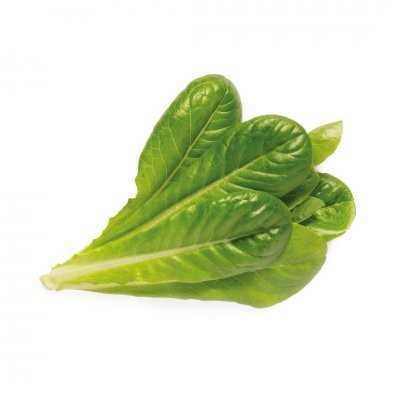 Click and Grow -Smart Garden Refill 3-pack - Romaine Lettuce (SGR50X3)