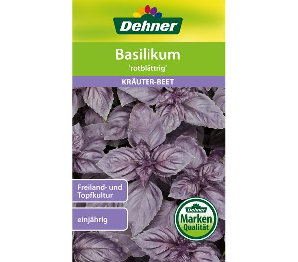 Dehner Samen Basilikum 'rotblättrig'